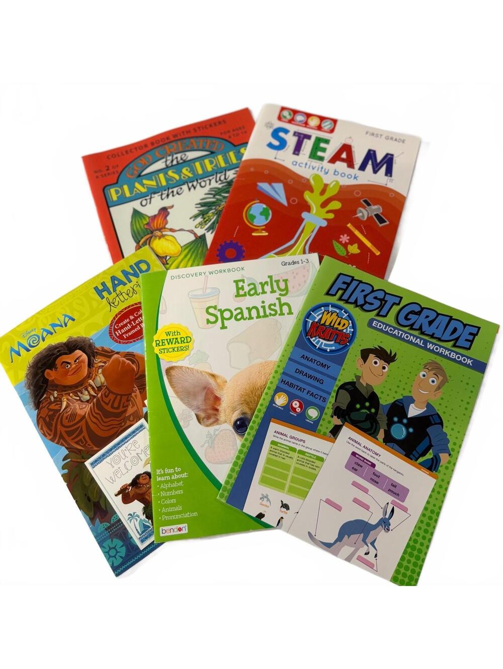 1st Grade Homeschool Educational Workbook Set - STEAM, Spanish, Handwriting NEW